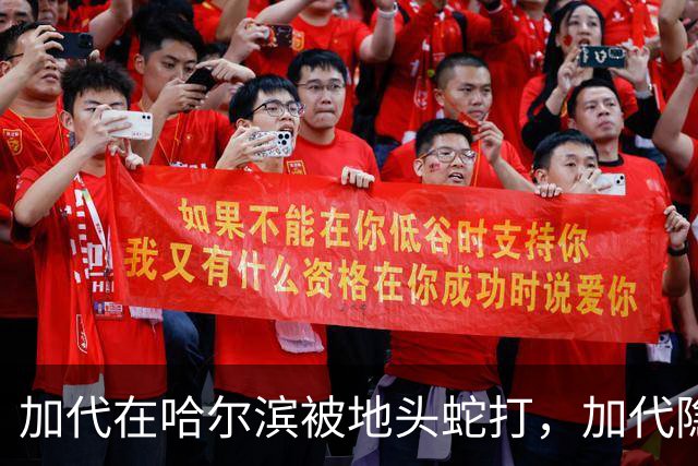 加代在哈尔滨被地头蛇打，加代隐忍不发，三天后哈尔滨高层大换血