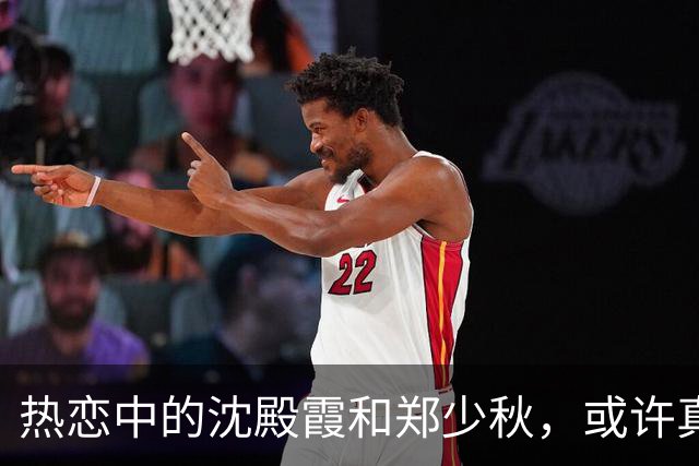 热恋中的沈殿霞和郑少秋，或许真的爱过！
